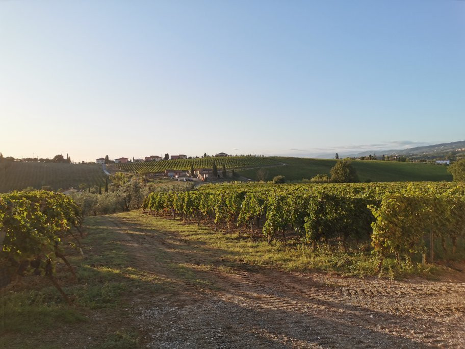 Azienda Agricola Luggiano-芬奇必去景点