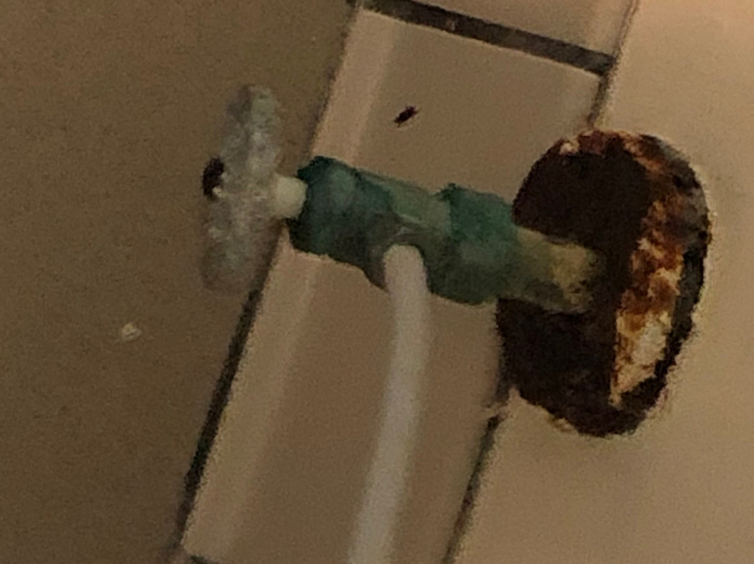 Wingate by Wyndham Augusta/Fort Gordon主图