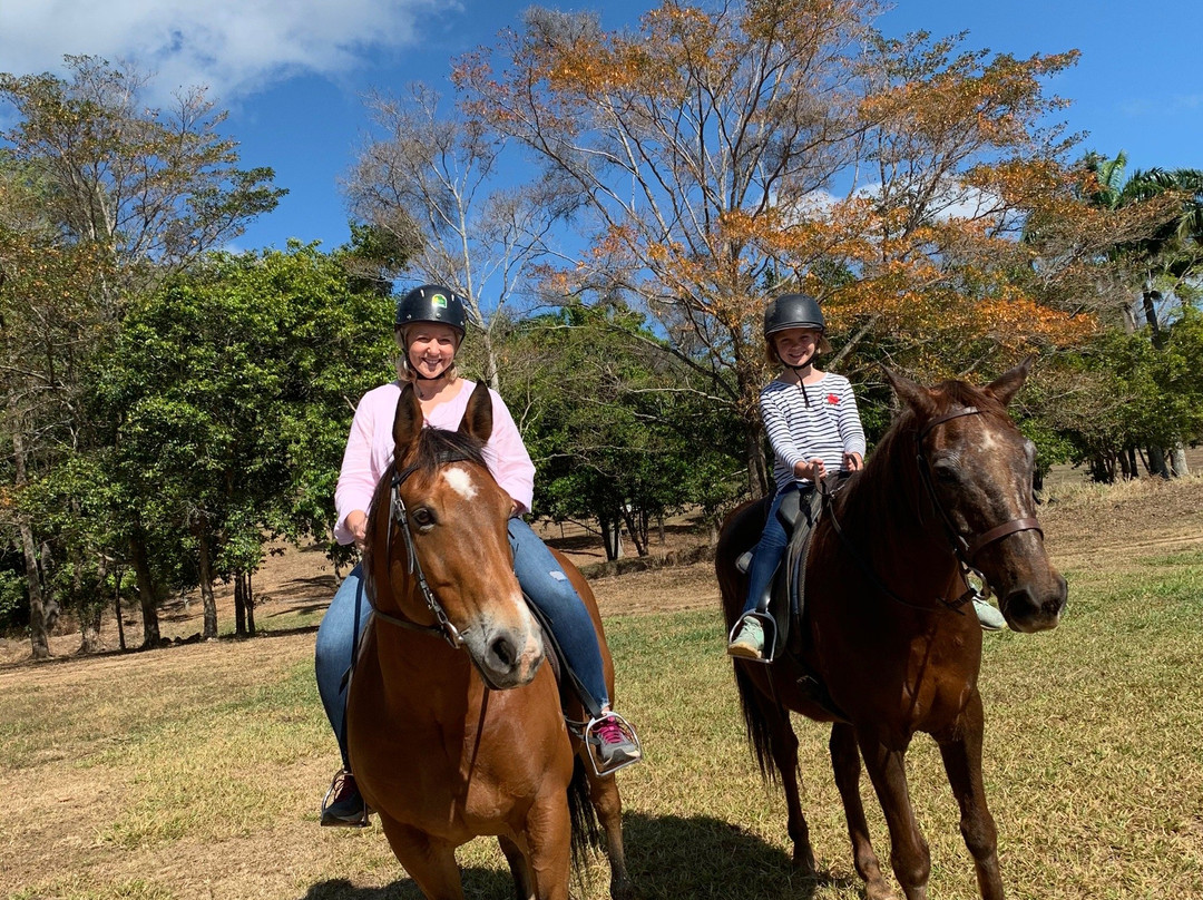 Ports Horse Farm-道格拉斯港必去景点