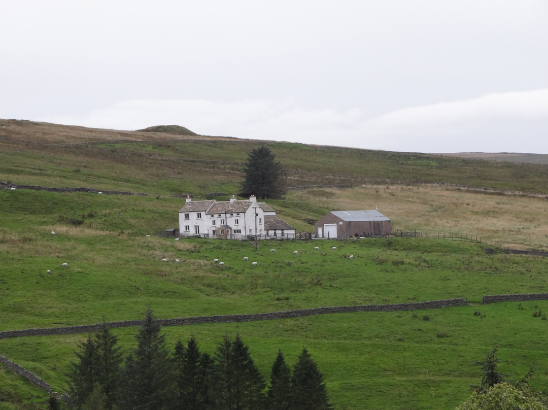 The Miners Arms主图