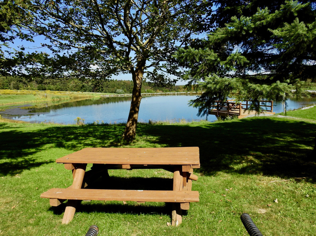Ontario County Park at  Gannett Hill景点图片