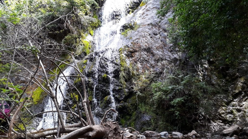 El Hoyo酒店住宿-Complejo Turistico Rio Azul