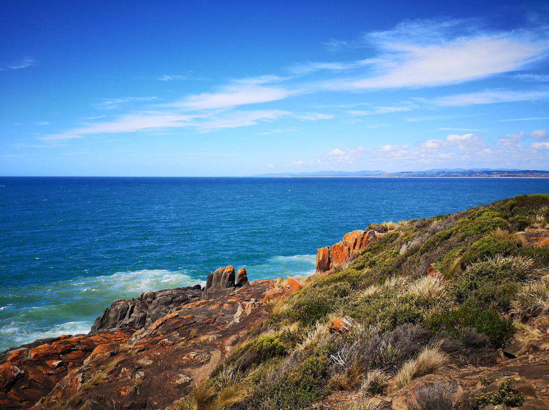 Bluff Park-Devonport必去景点