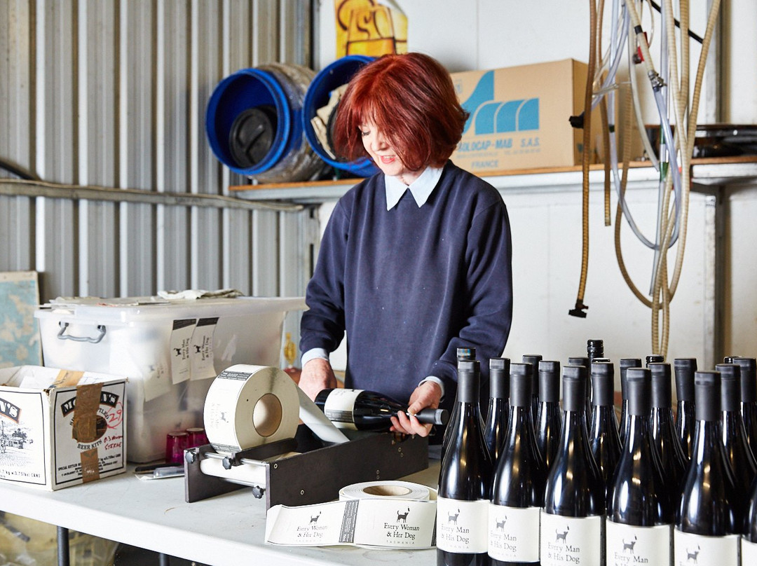 StelaVino Guided Wine Tours景点图片
