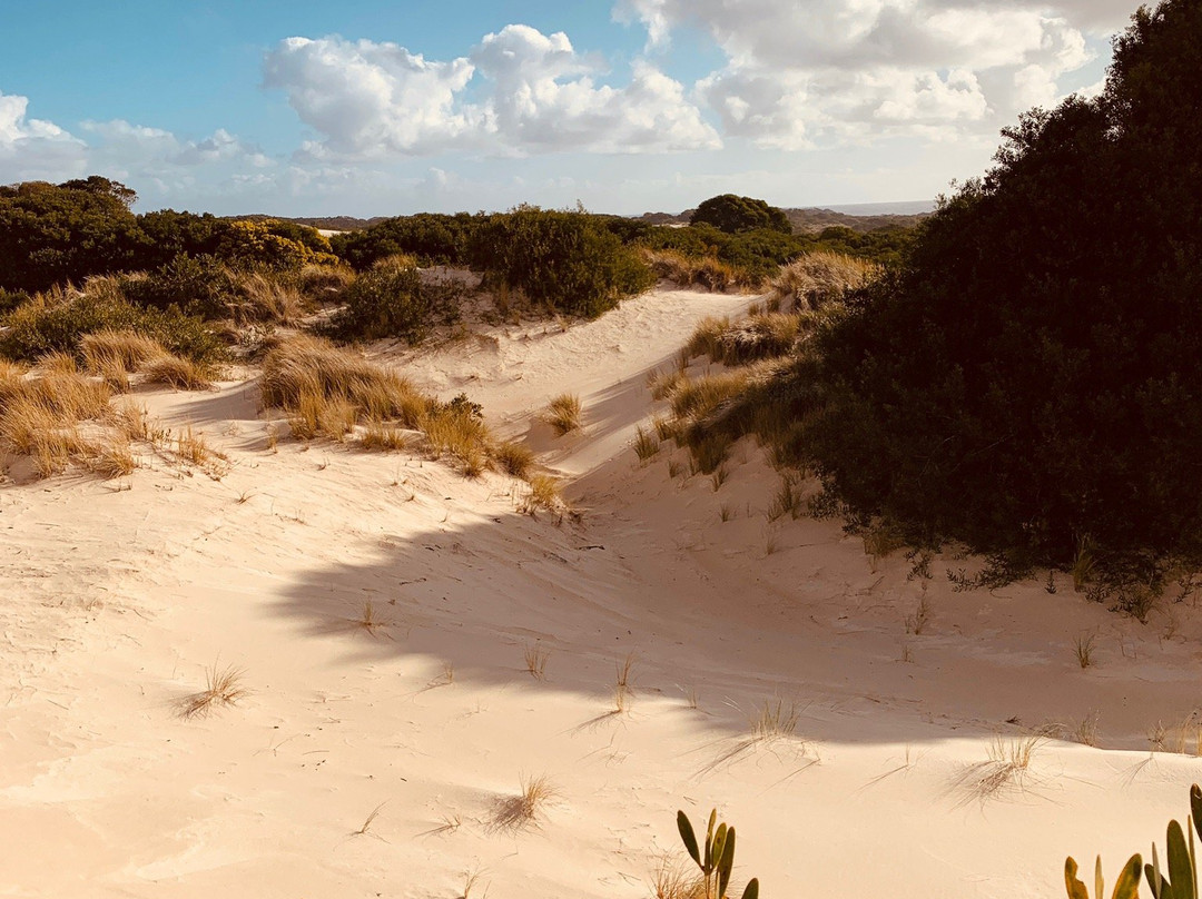 Henty Dunes-斯特拉恩必去景点