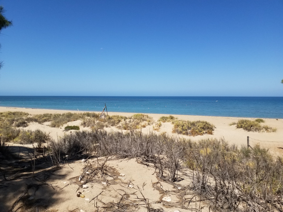 Mackerel Islands主图