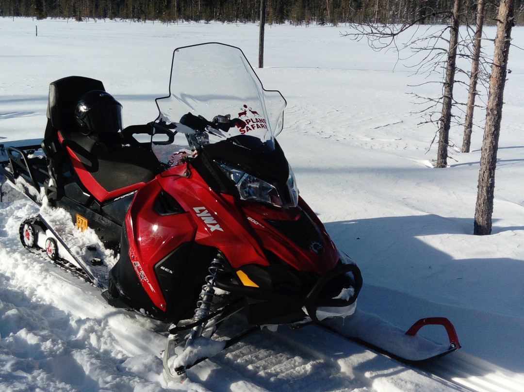 Lapland Safaris Luosto-Luosto必去景点