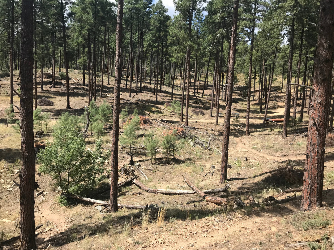 Prescott Horseback Riding-普雷斯科特必去景点