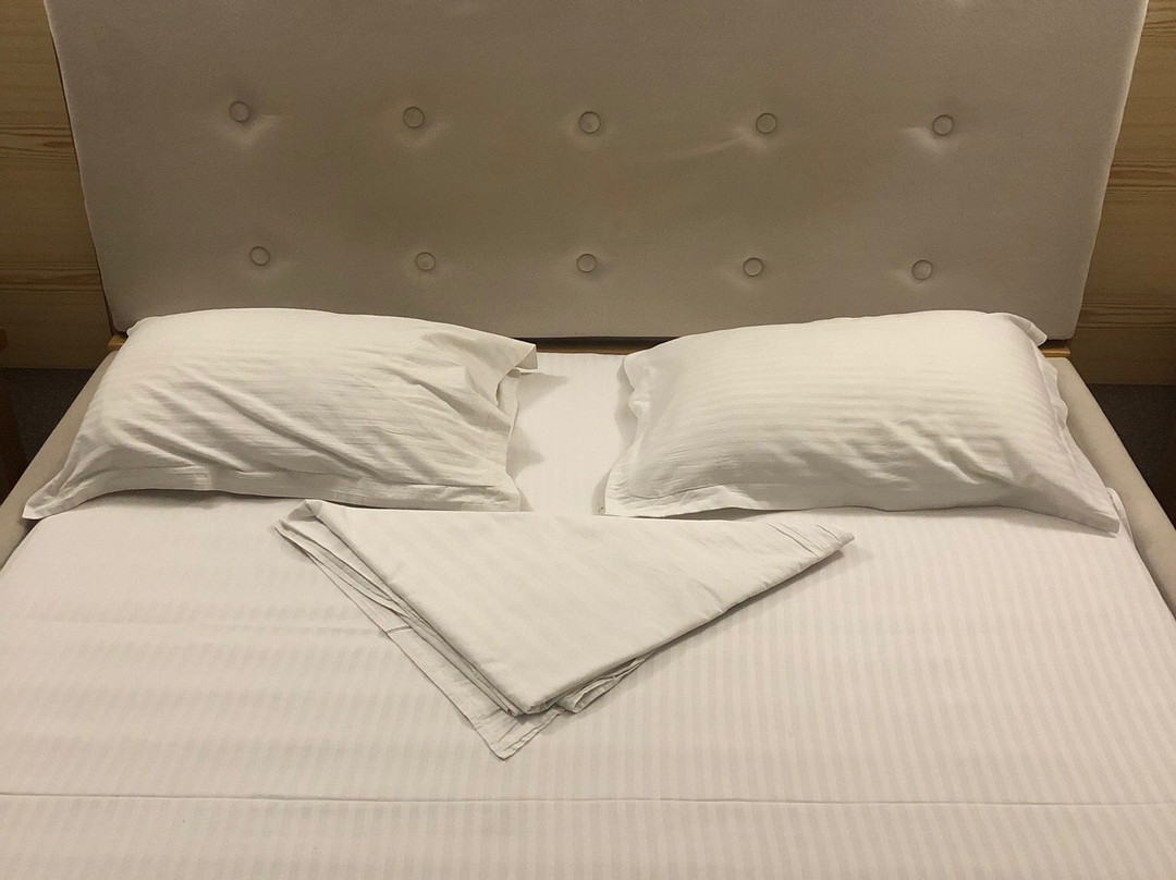 Viktoria Park Hotel主图