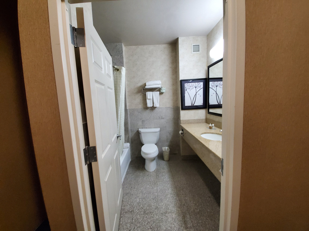 马哥拉瓜迪亚列克星敦酒店主图