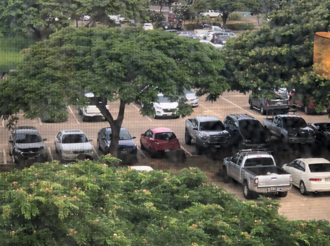 威尔哈伊海滩俱乐部万豪酒店主图