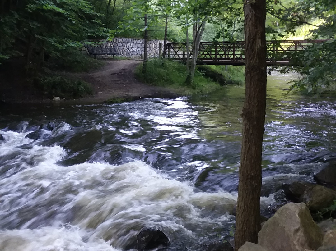 Moir Park-布卢明顿必去景点