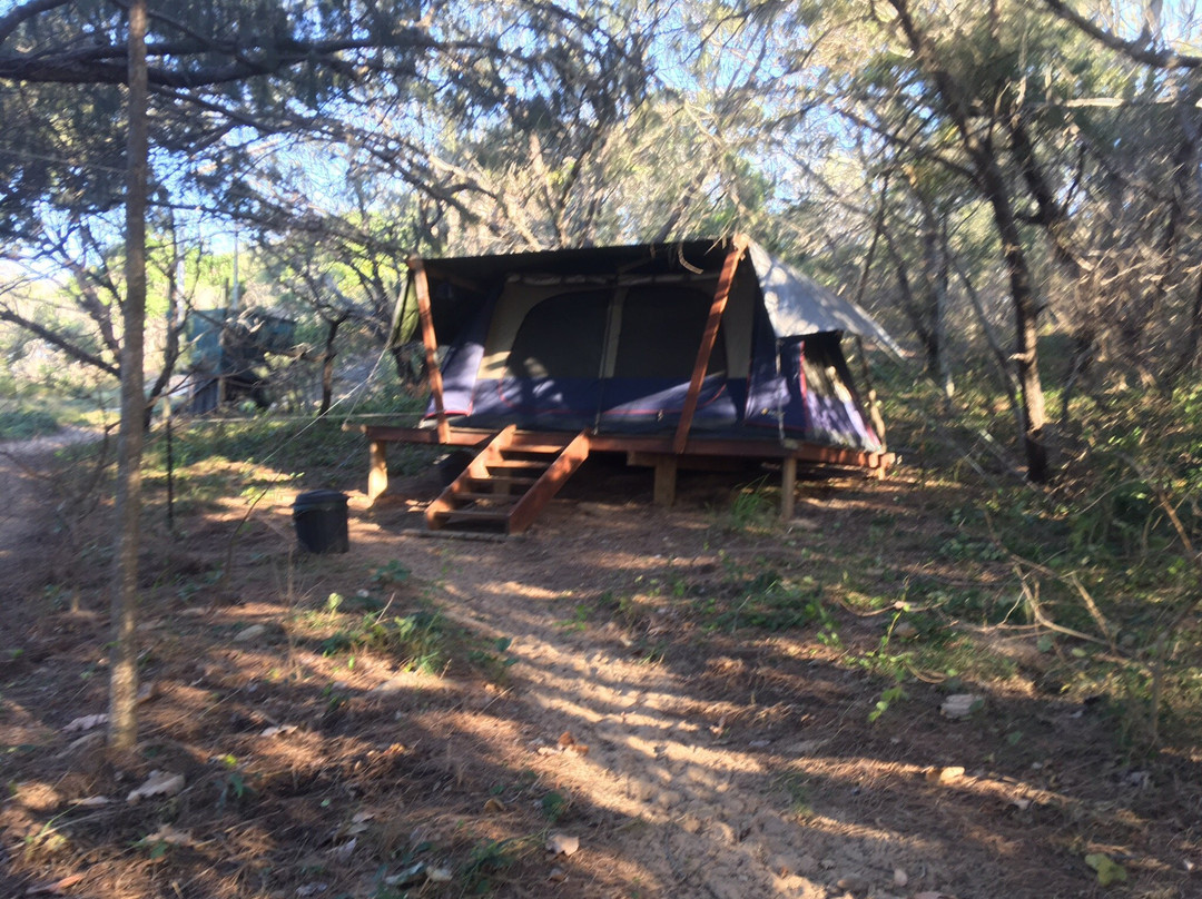 1770 Castaway Island Adventures - Day Tours-Agnes Water必去景点