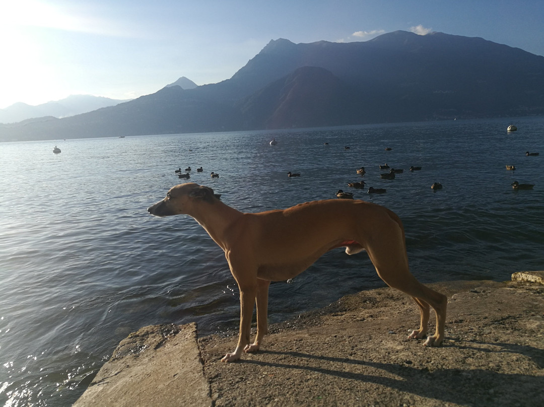 Spiaggia Bau Bau Olivedo景点图片