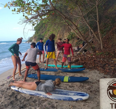 Tide Escuela de Surf-帕洛米诺必去景点