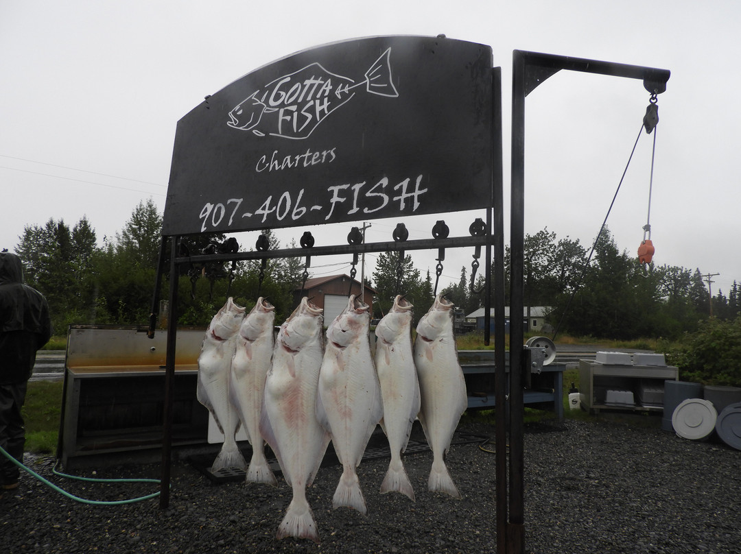 Gotta Fish Charters-尼尔奇克必去景点