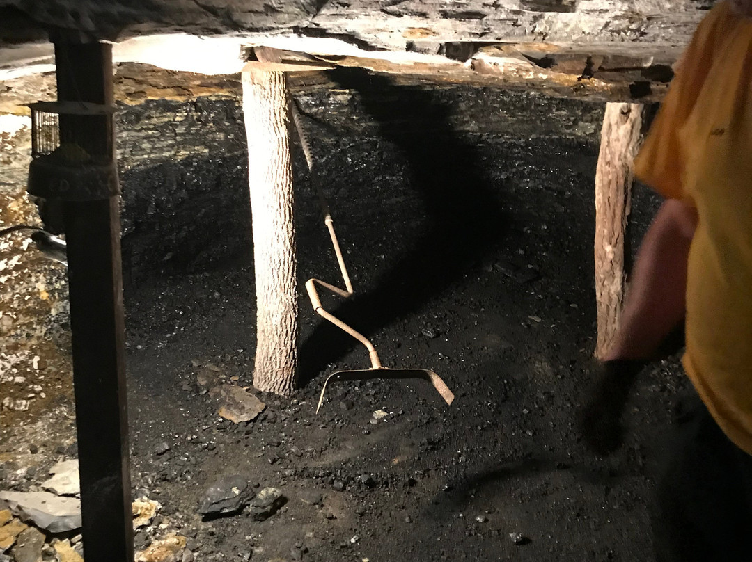 Tour-Ed Coal Mine景点图片