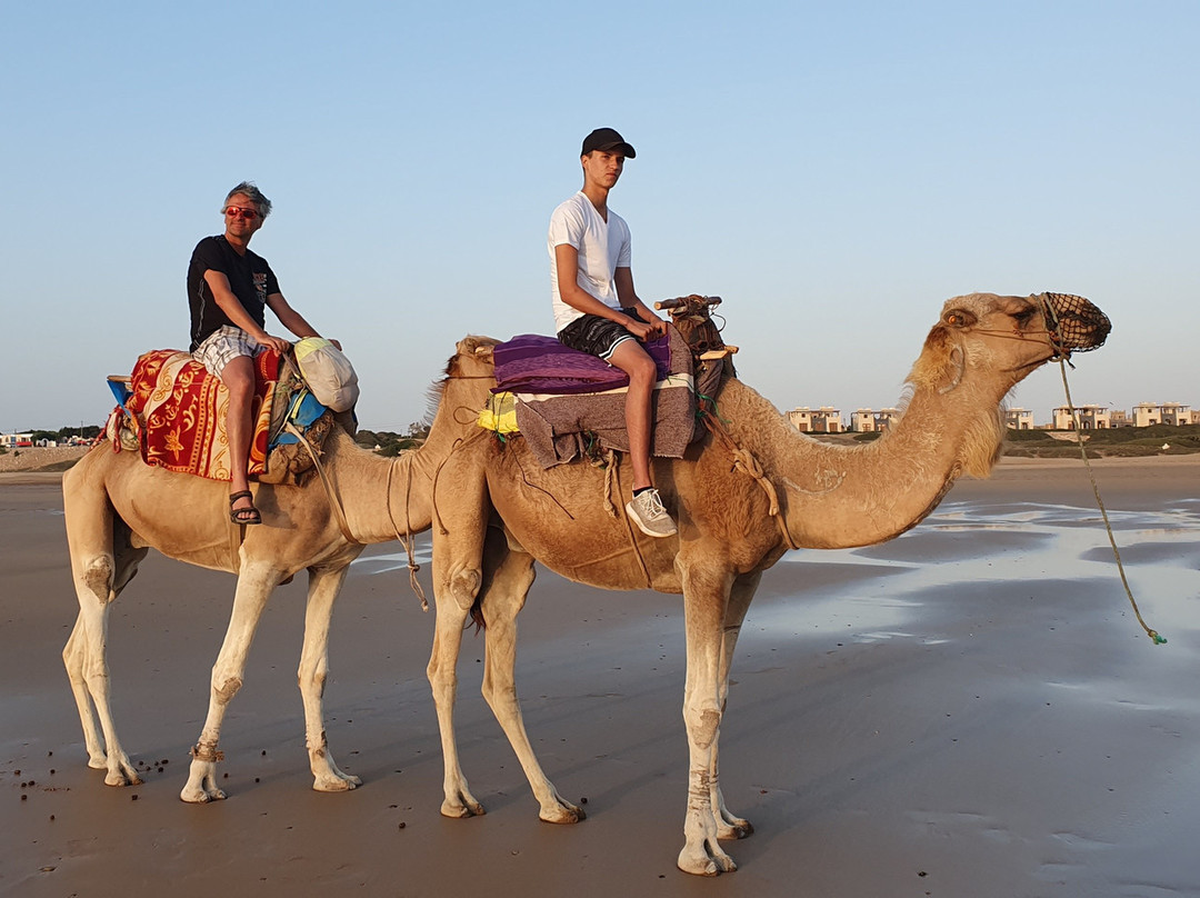 Hôtel-Restaurant Le Kaouki主图