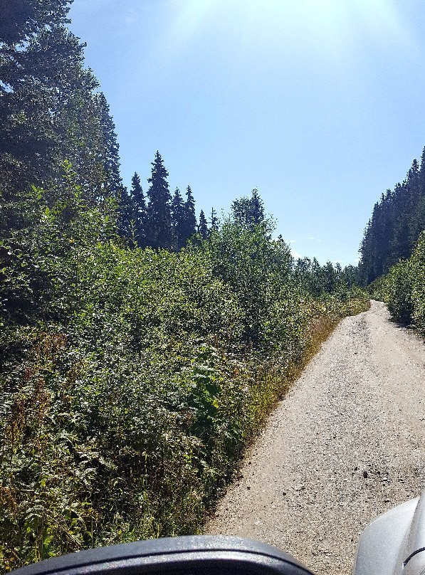 Gold Rush Trail-Barkerville必去景点