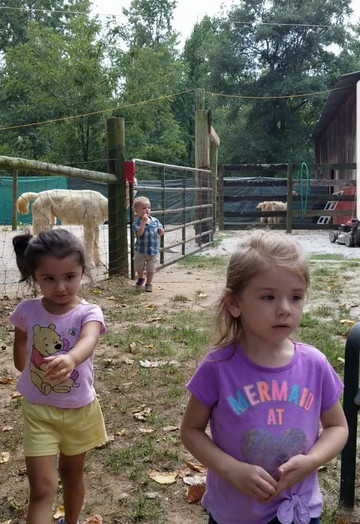 L & R Alpaca Haven Farm-Douglasville必去景点