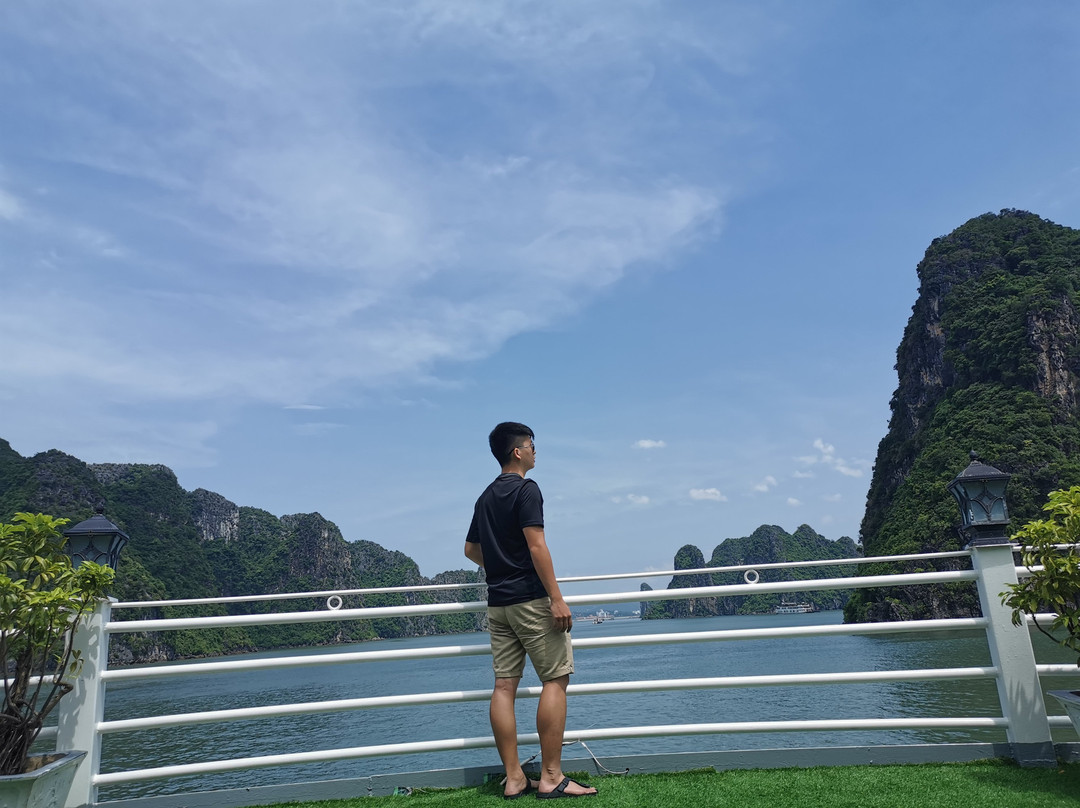 Vietnam Travel Bug - Day Tours-河内必去景点