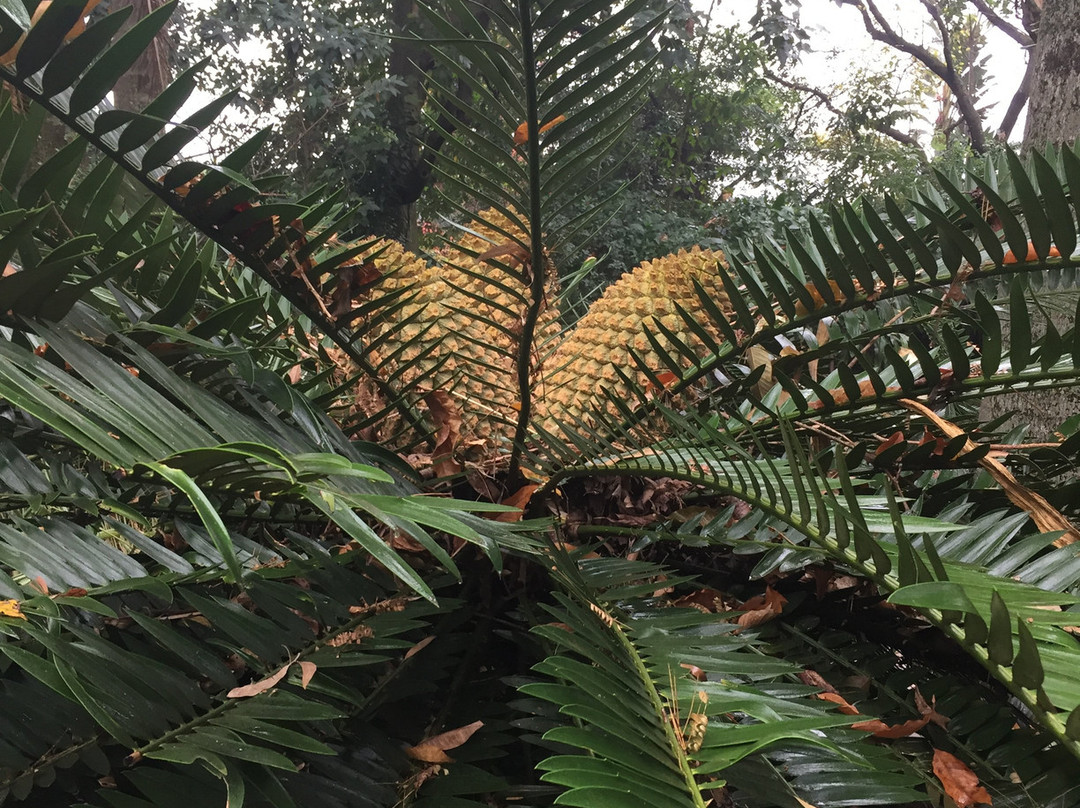 海格罗夫楼酒店主图