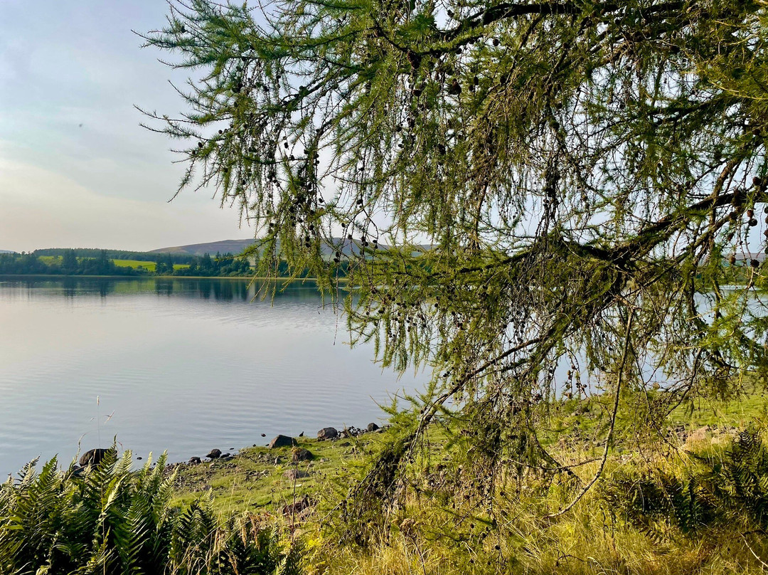 Loch Of Lintrathen景点图片