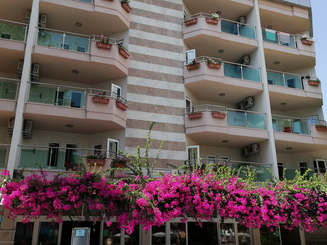 Erkaptan Apart Hotel主图