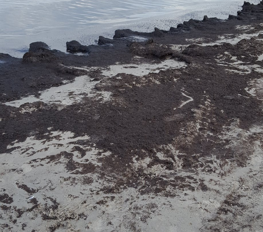 Aquamaris Strandresidenz Rugen主图