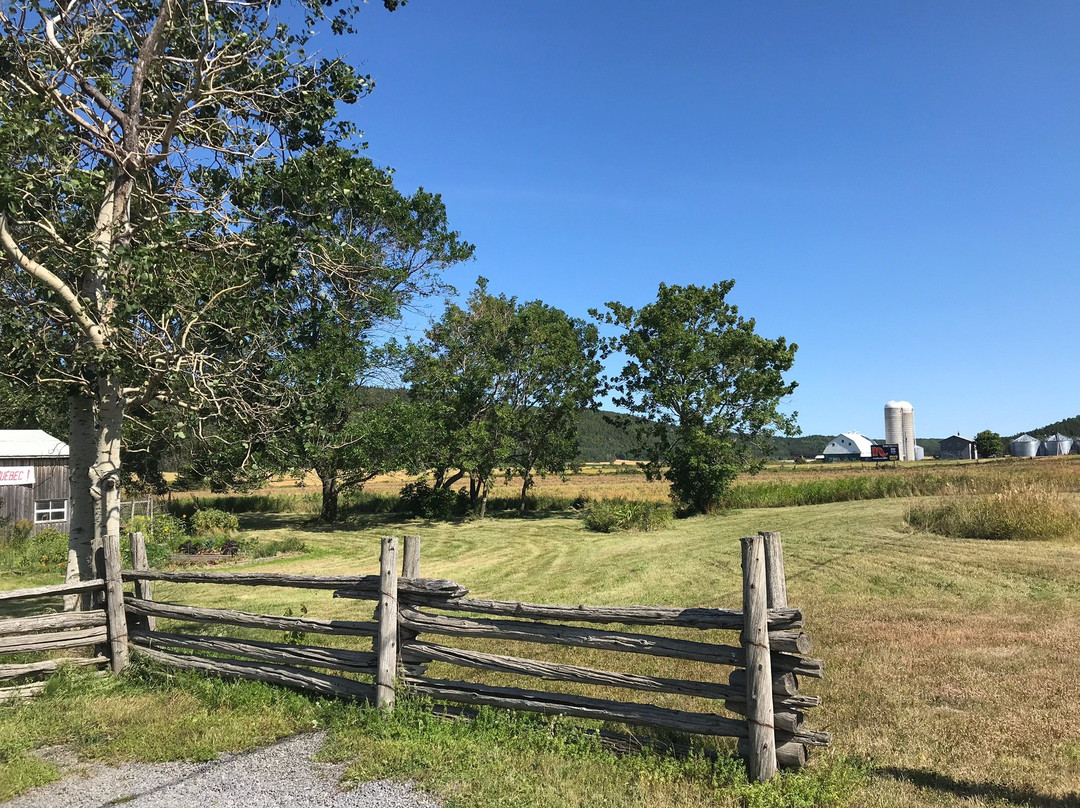 Chez Choiniere主图