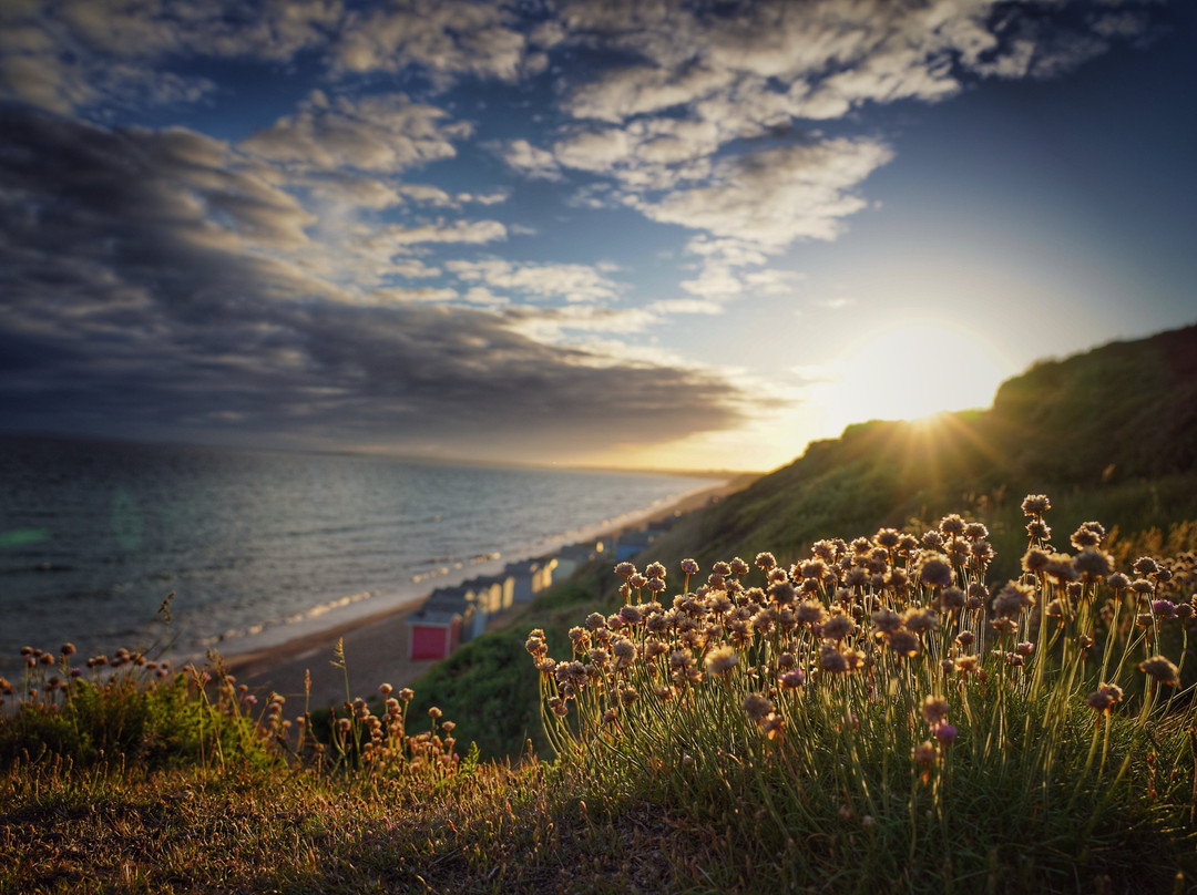 Milford On Sea Guided Walks景点图片