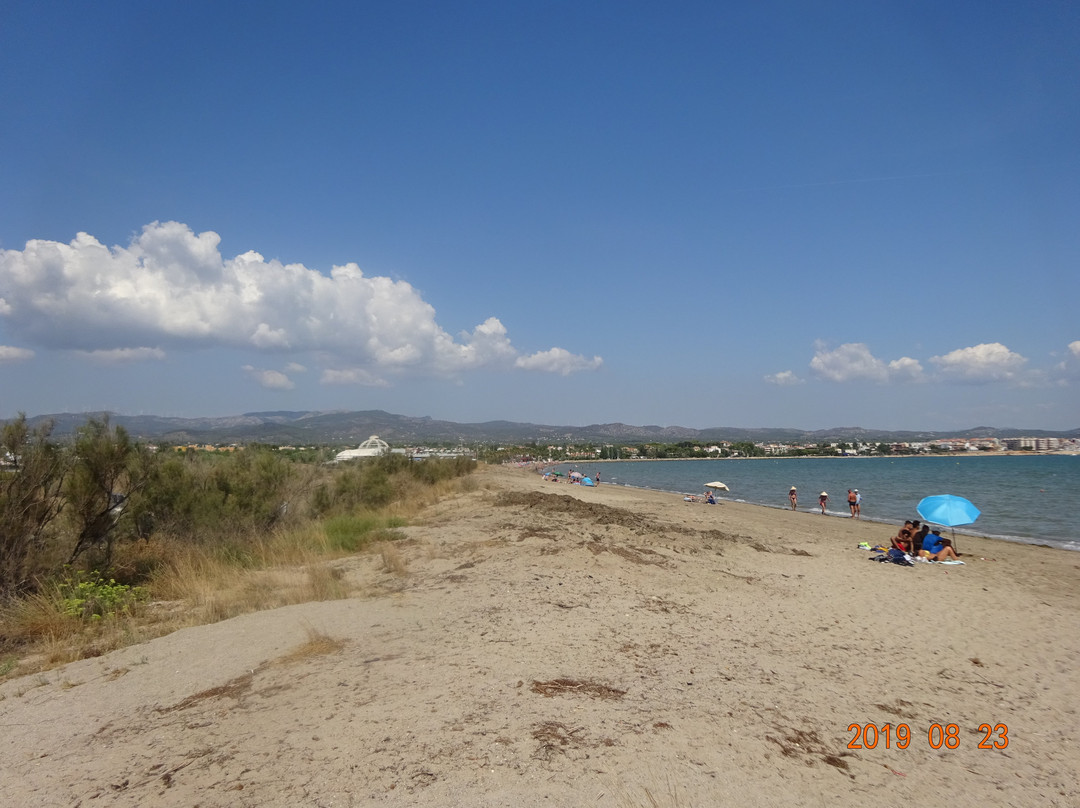 Playa Arenal景点图片