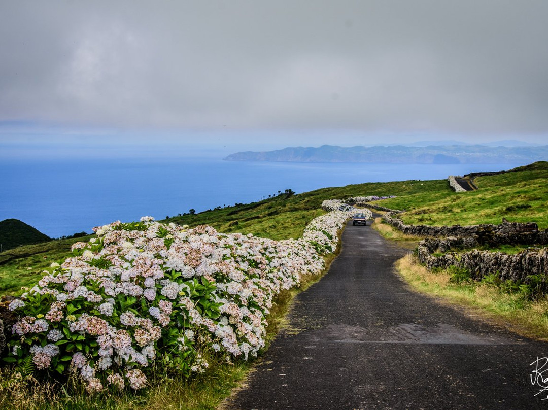 Haliotis Dive Centre Faial-奥尔塔必去景点