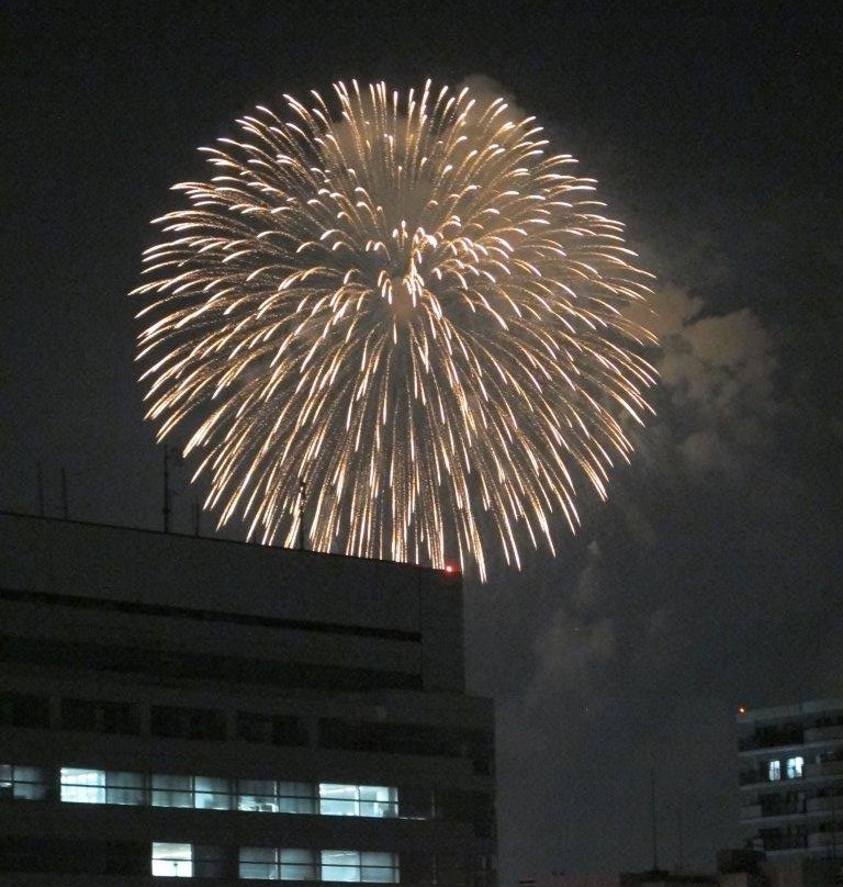 Tachikawa Matsuri Showa Kinen Park Fireworks Festival-立川市必去景点