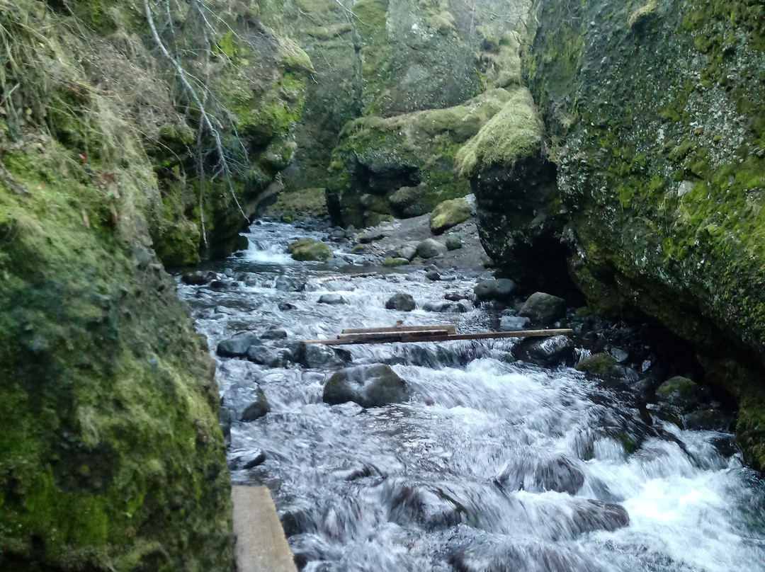 Nauthusagil Waterfall景点图片