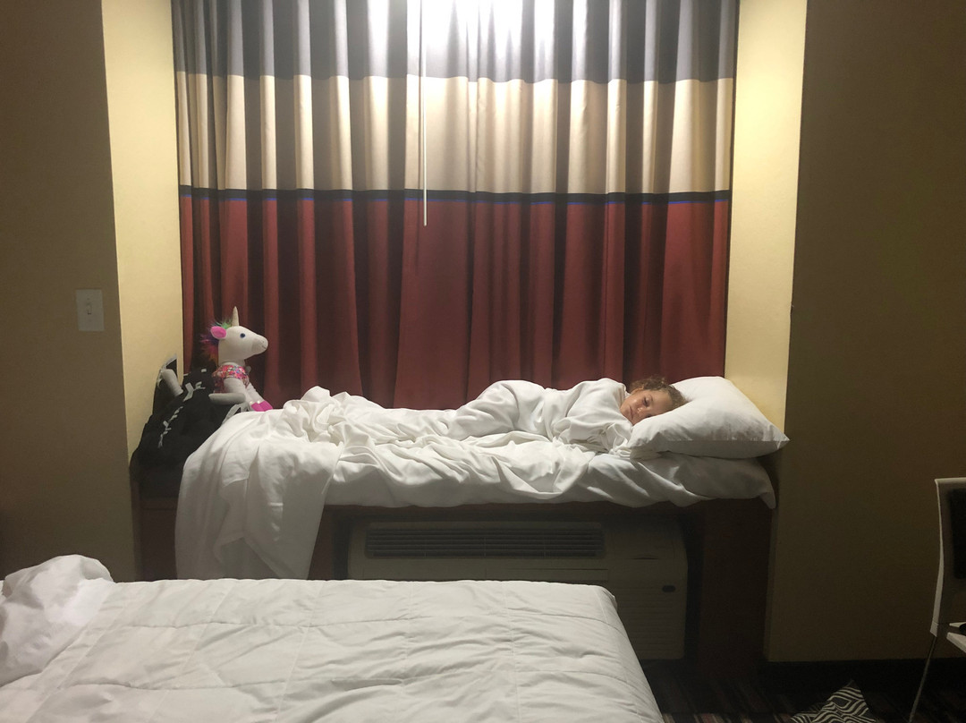 Microtel Inn & Suites By Wyndham Bushnell主图