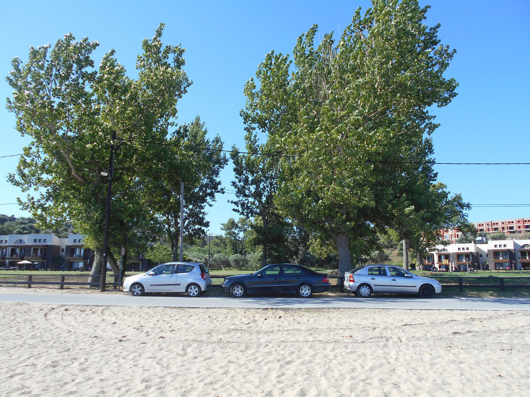 Comitsa Beach景点图片