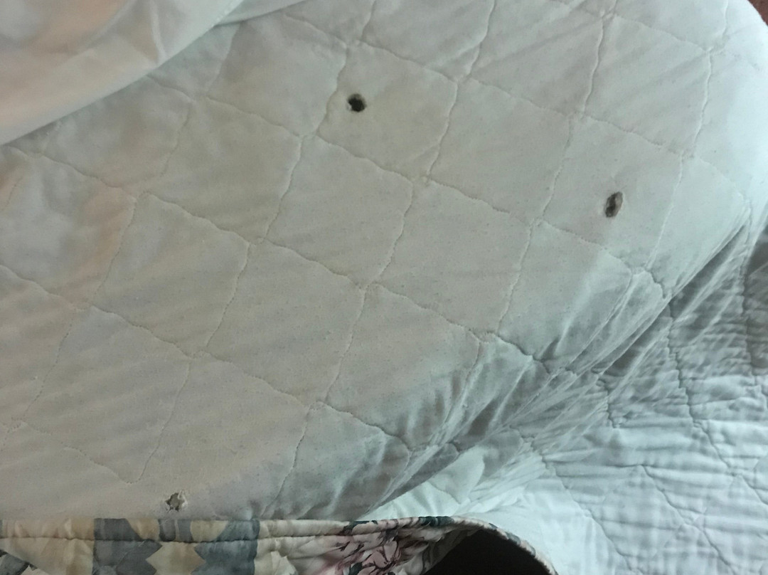 Travelodge by Wyndham Salisbury MD主图