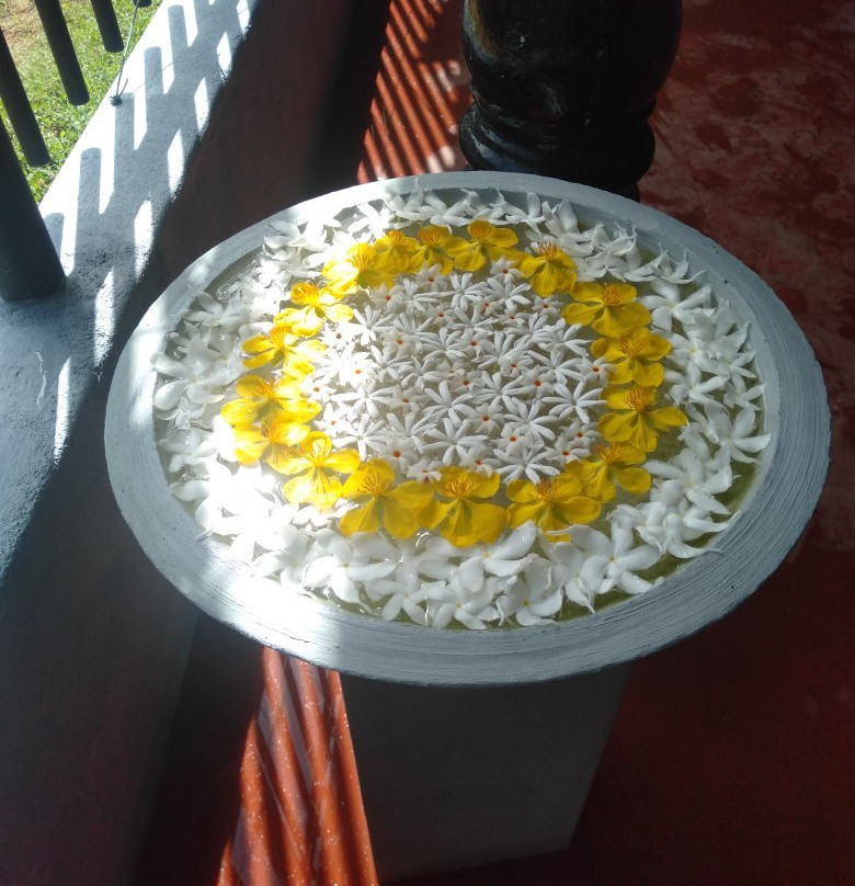 Sport Relaxation Massages - Mirissa-美蕊沙必去景点