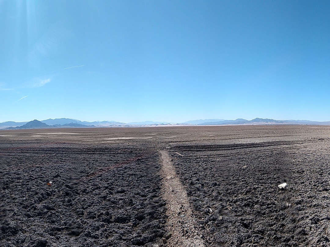 Desert Studies Center景点图片