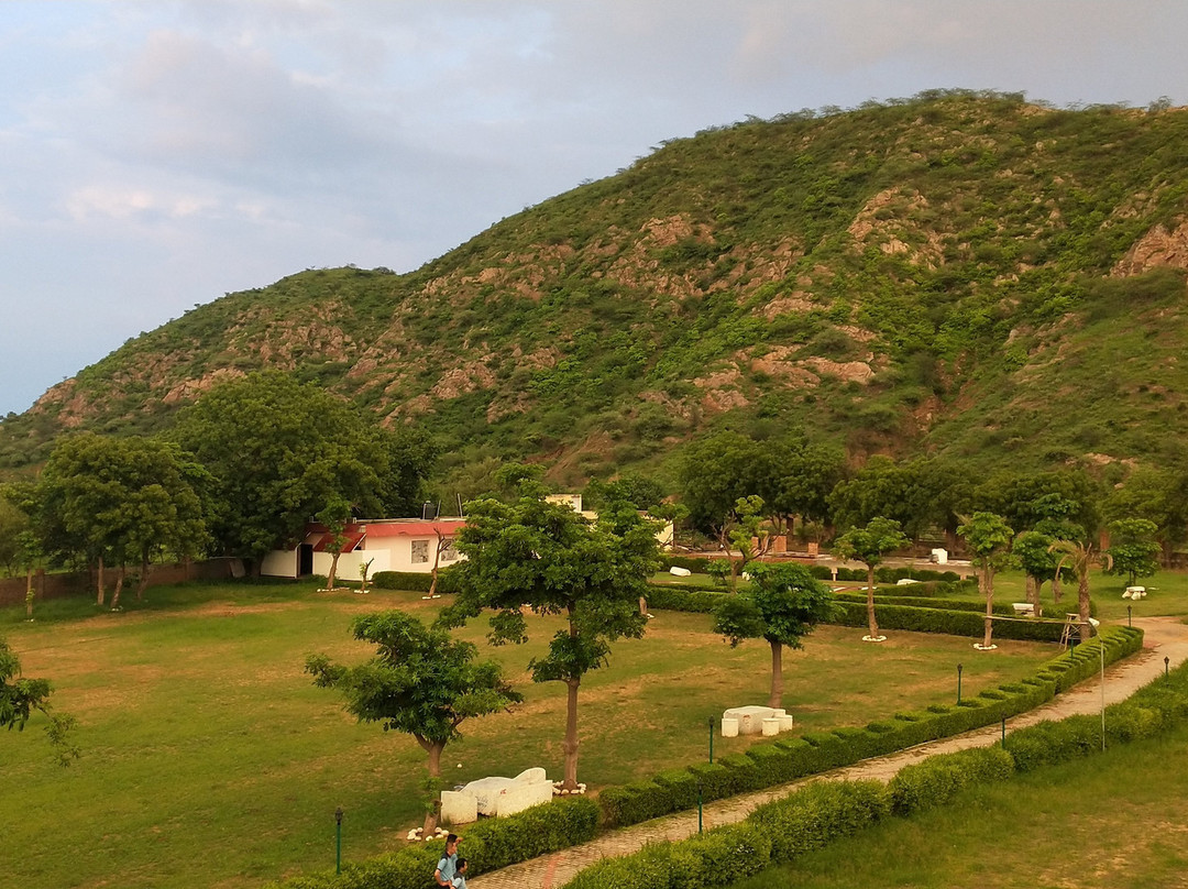 Treehouse Raj Mahal主图