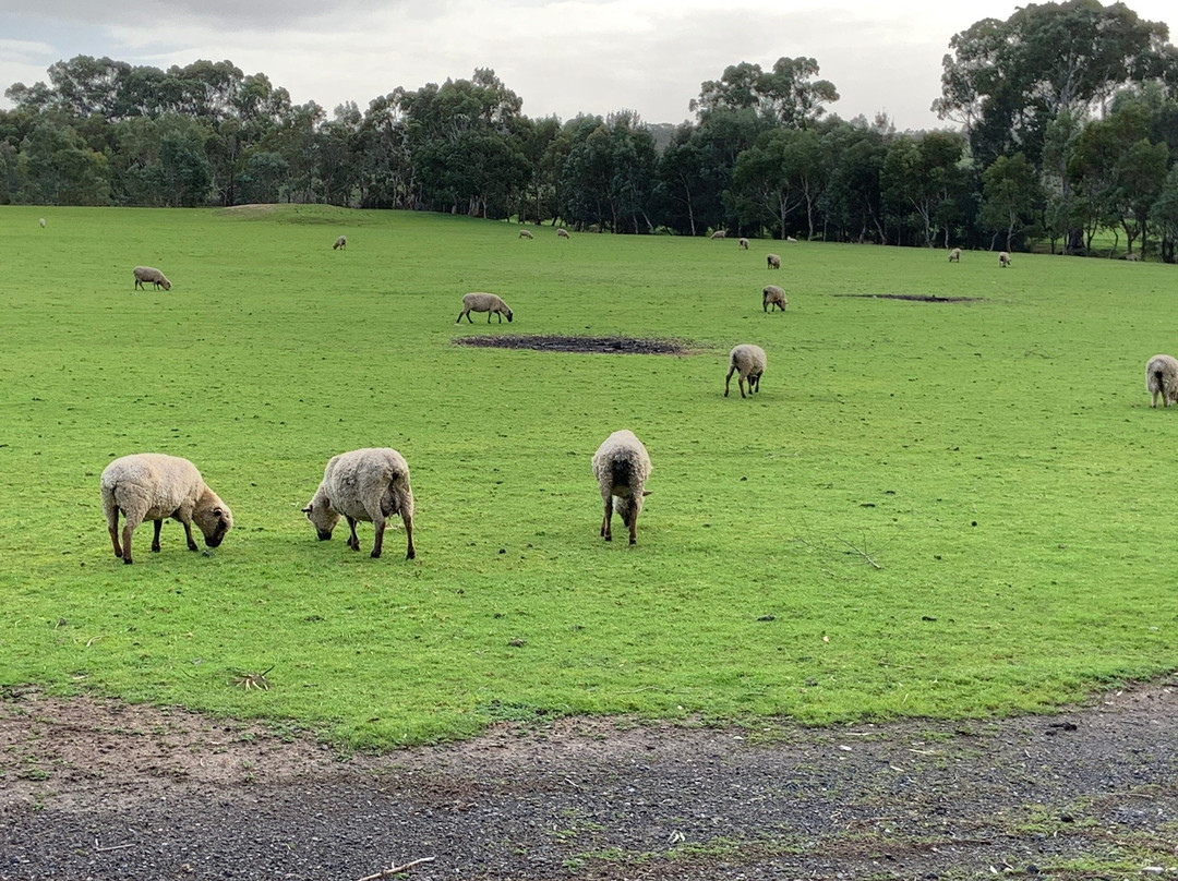 南山谷民宿主图