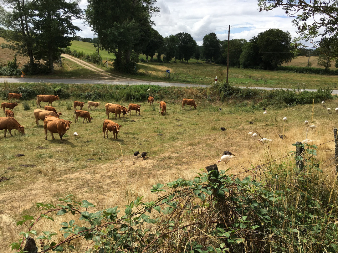 En Bord De Chemin主图