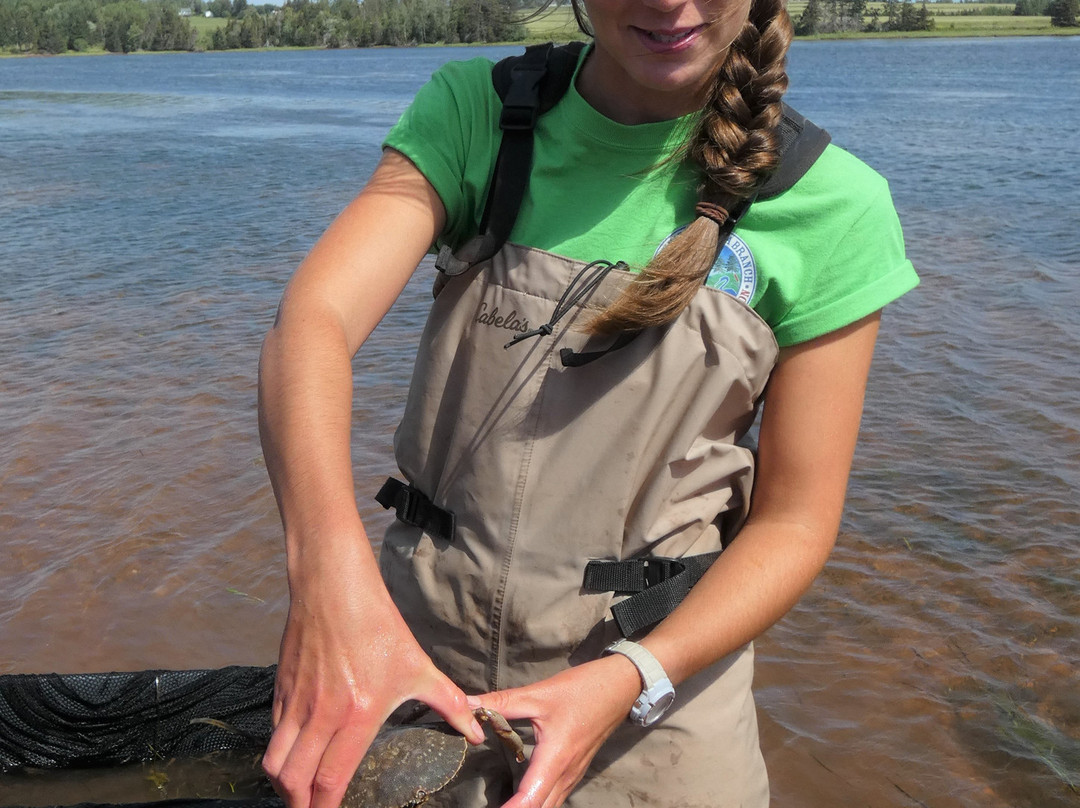 Souris Beach Provincial Park-Souris必去景点