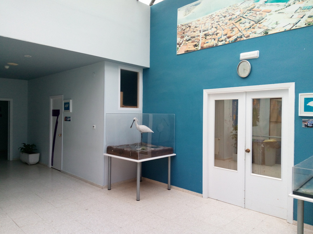 Albergue Juvenil Complejo T.D. "El Albergue" de Santona