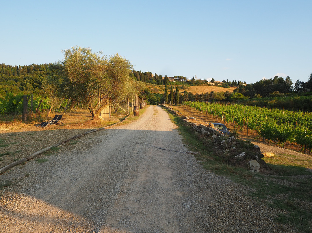 Tenuta Cortedomina主图