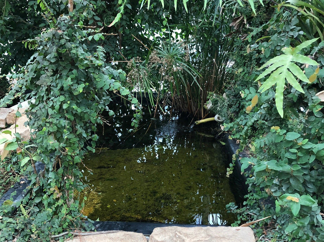 Haarlemmer Kweektuin景点图片