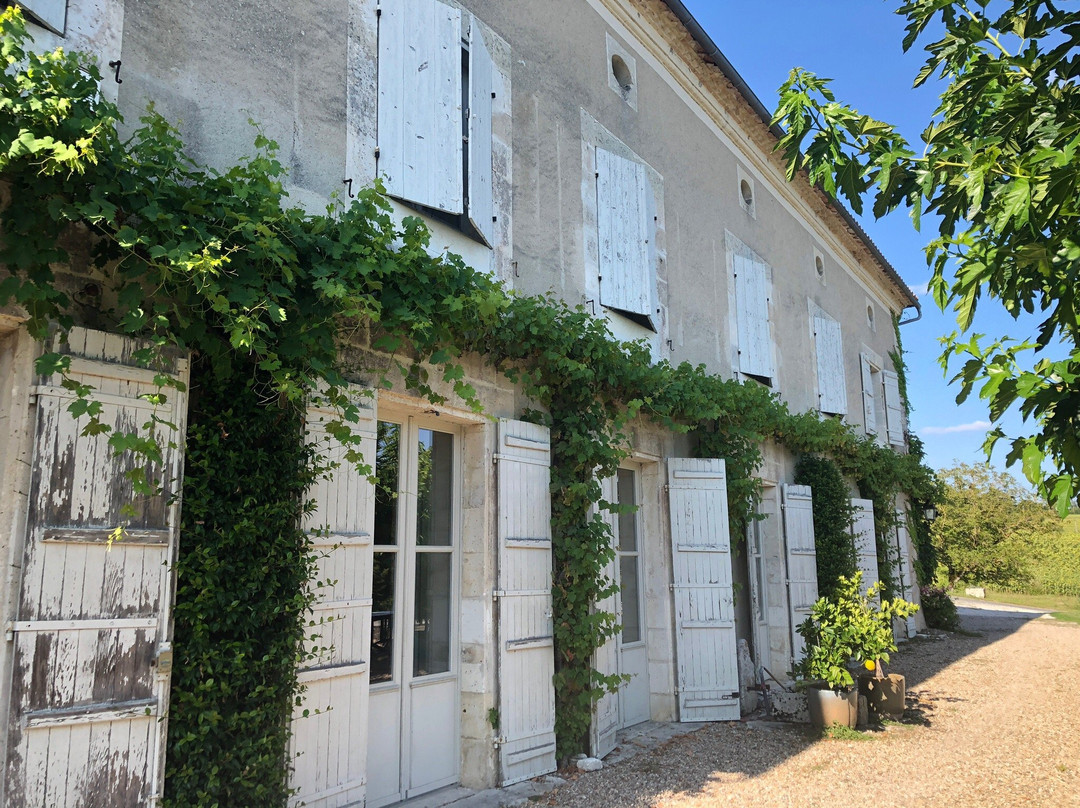 Domaine de Puyrousse主图