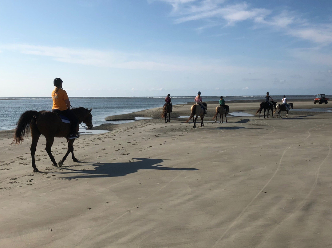 Seabrook Island Equestrian Center景点图片