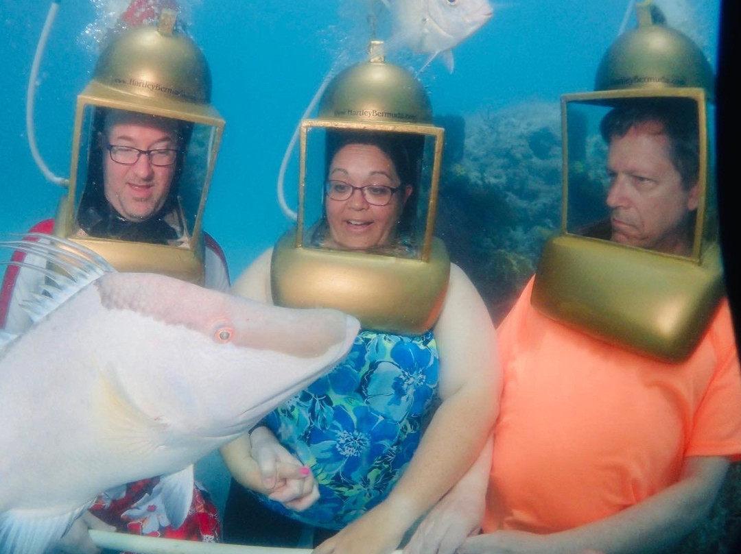 Hartley's Undersea Walk-Ireland Island必去景点